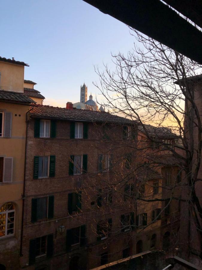 Teresa 91, Appartamento Incantevole Vista Duomo Σιένα Εξωτερικό φωτογραφία